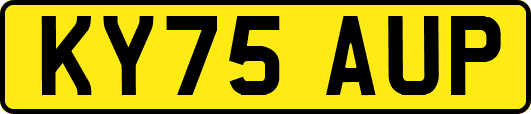 KY75AUP