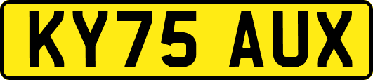 KY75AUX