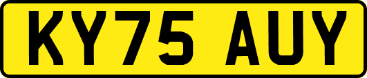 KY75AUY