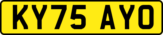 KY75AYO
