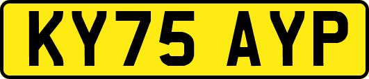 KY75AYP