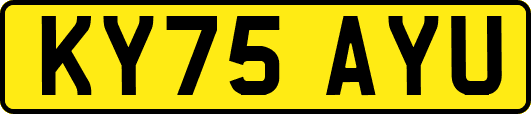 KY75AYU