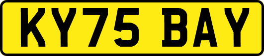 KY75BAY