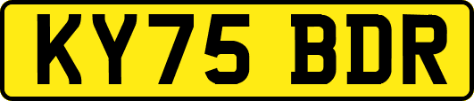 KY75BDR