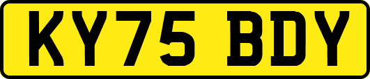 KY75BDY
