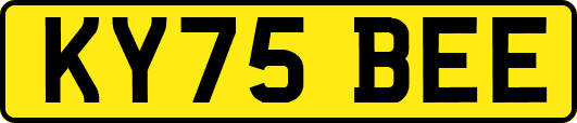 KY75BEE