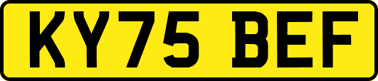 KY75BEF