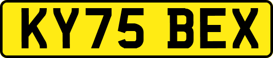 KY75BEX