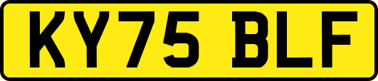 KY75BLF