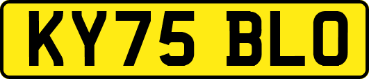 KY75BLO