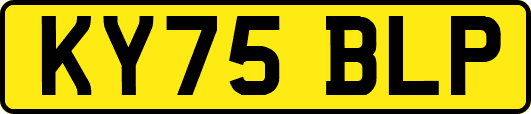 KY75BLP