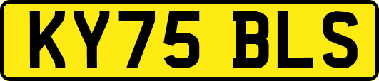 KY75BLS