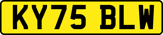KY75BLW
