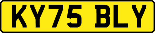 KY75BLY