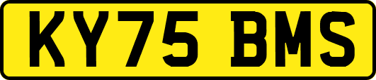 KY75BMS