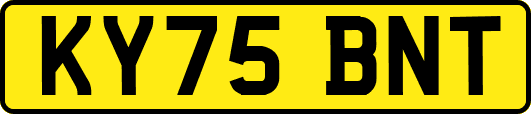 KY75BNT