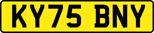 KY75BNY