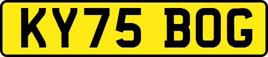 KY75BOG