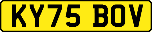KY75BOV