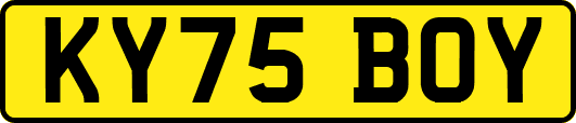 KY75BOY