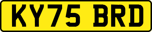 KY75BRD