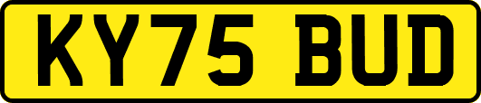 KY75BUD