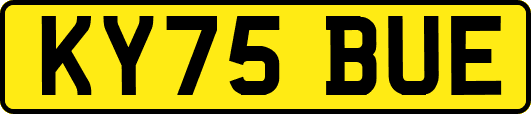 KY75BUE