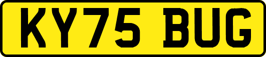KY75BUG