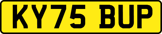KY75BUP