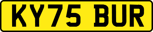 KY75BUR