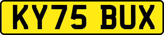 KY75BUX