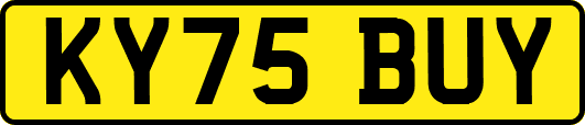 KY75BUY