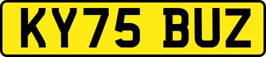 KY75BUZ