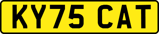 KY75CAT