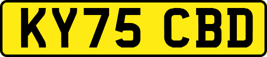 KY75CBD