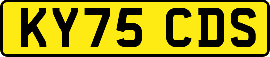 KY75CDS
