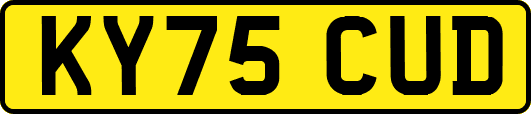 KY75CUD