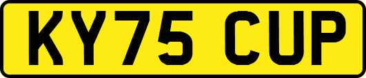 KY75CUP