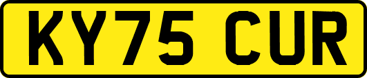 KY75CUR