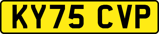 KY75CVP