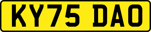 KY75DAO