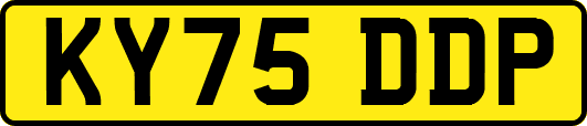 KY75DDP