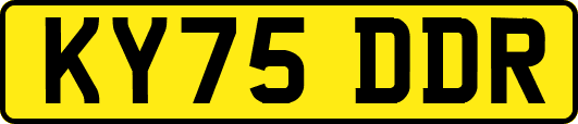 KY75DDR