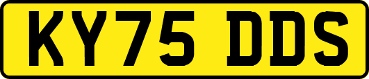 KY75DDS