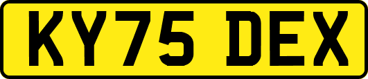 KY75DEX
