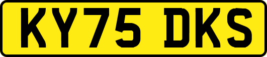 KY75DKS