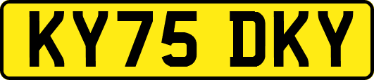 KY75DKY