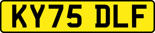 KY75DLF
