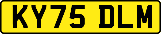KY75DLM