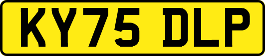 KY75DLP